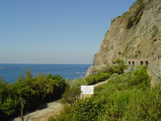 along the amore trail