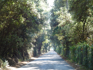 Beach road