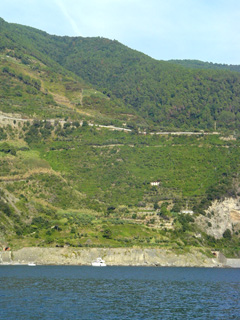 between Vernazza and Corniglia