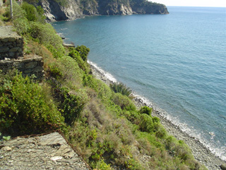 just a view