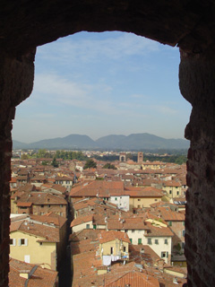 From window out of Guinigi tower
