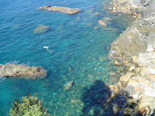 blue waters