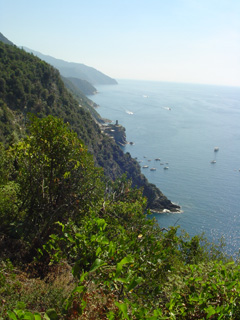 looking south