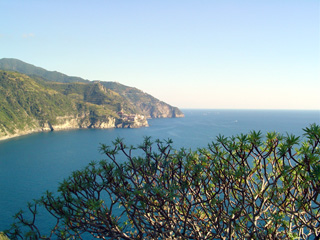 Manarola from Corniglia