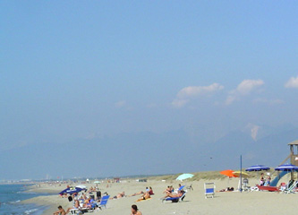 More beach