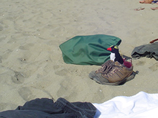 Mr Penguin enjoys the beach