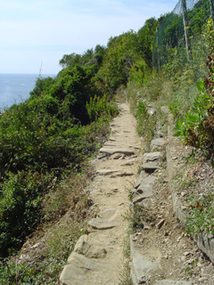 narrow trail