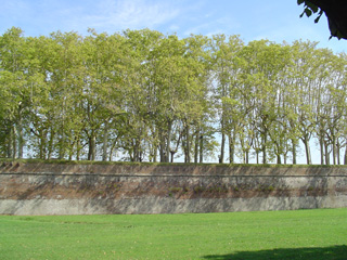 Lucca wall
