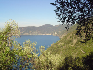 path to Vernazza