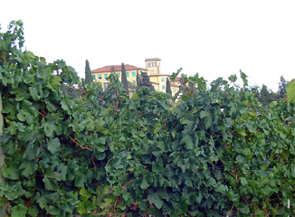 seminary