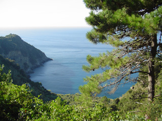 another view