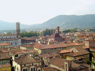 Duomo from Guinigi
