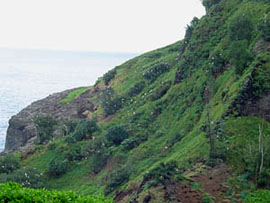 booby hill