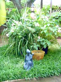 yard