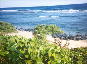 Larsens Beach