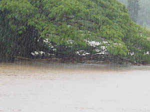 rain