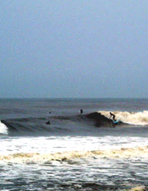 surfers