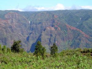 Weimea