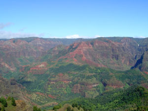 Weimea