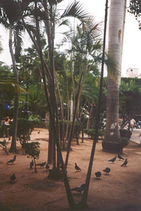 town plaza