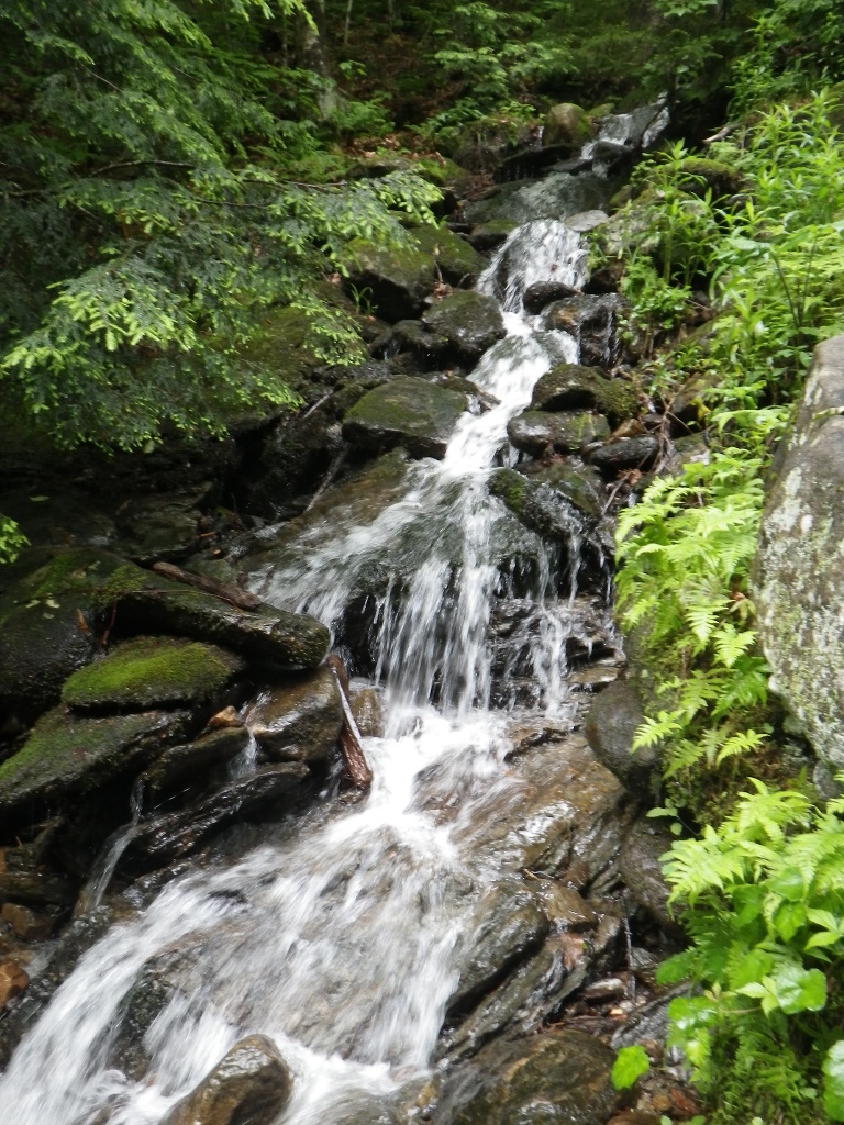 Runoff near Bingham Falls