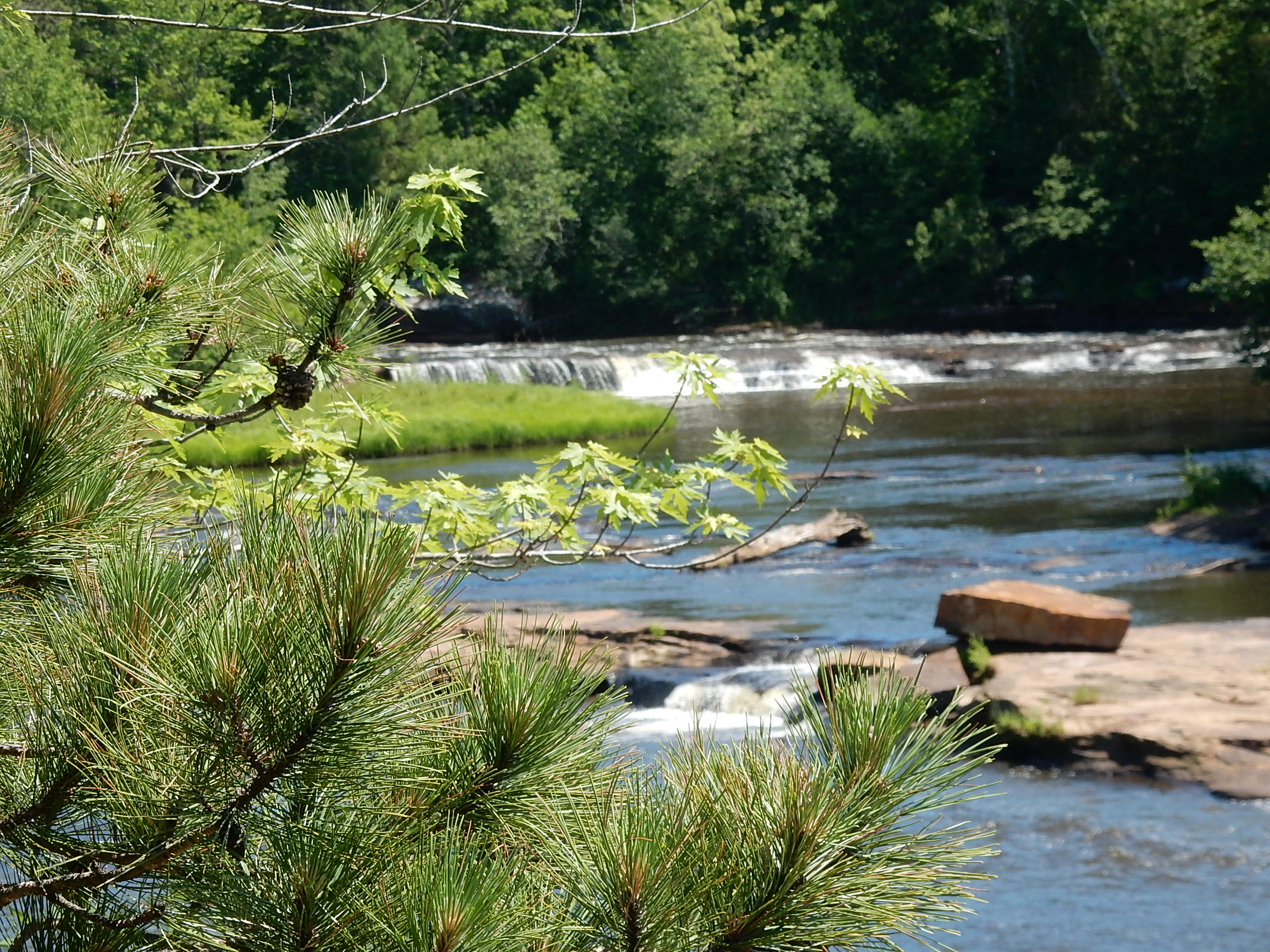 Big Springs